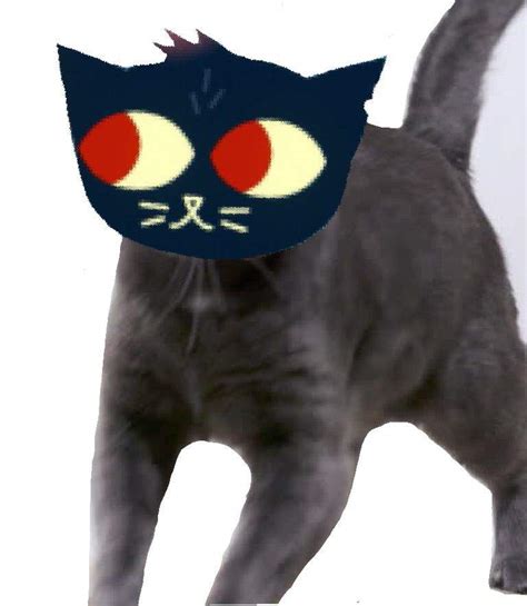 Mae Cat